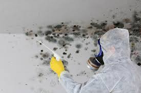 Best Crawl Space Mold Remediation  in Gettysburg, PA